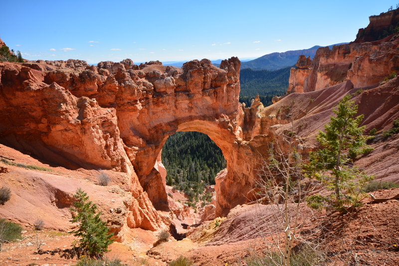Bryce 02 - Top Tourist