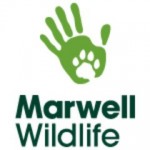 Marwell Zoo