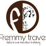 Fremmy Travel